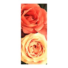 Adesivo Decorativo de Porta - Rosas - Flores - 391cnpt na internet