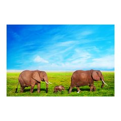 Painel Adesivo de Parede - Elefantes - 649pn - comprar online