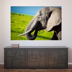 Painel Adesivo de Parede - Elefante - 650pn