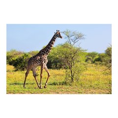 Painel Adesivo de Parede - Girafa - 652pn - comprar online