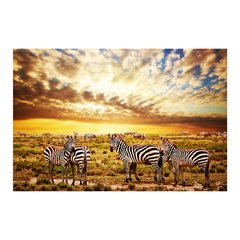 Painel Adesivo de Parede - Zebras - 653pn - comprar online