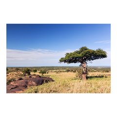 Painel Adesivo de Parede - África - Floresta - 654pn - comprar online