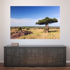 Painel Adesivo de Parede - África - Floresta - 654pn