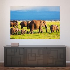 Painel Adesivo de Parede - Elefantes - 657pn