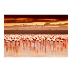 Painel Adesivo de Parede - Flamingos - 668pn - comprar online