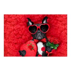 Painel Adesivo de Parede - Cachorro - Pet Shop - 771pn - comprar online