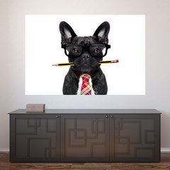 Painel Adesivo de Parede - Cachorro - Pet Shop - 776pn