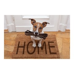 Painel Adesivo de Parede - Cachorros - Pet Shop - 780pn - comprar online