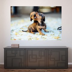 Painel Adesivo de Parede - Cachorros - Pet Shop - 784pn