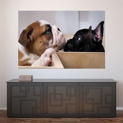 Painel Adesivo de Parede - Cachorro - Pet Shop - 796pn