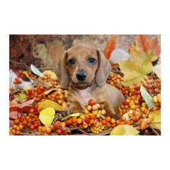 Painel Adesivo de Parede - Cachorro - Pet Shop - 797pn - comprar online