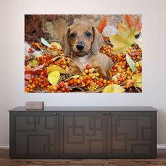 Painel Adesivo de Parede - Cachorro - Pet Shop - 797pn