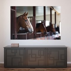 Painel Adesivo de Parede - Cavalos - 806pn
