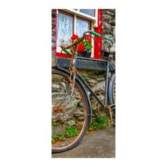 Adesivo Decorativo de Porta - Bicicleta - 823cnpt na internet