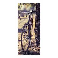 Adesivo Decorativo de Porta - Bicicleta - 837cnpt na internet