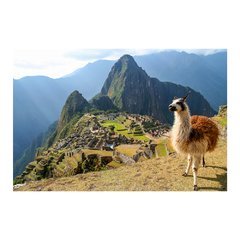 Painel Adesivo de Parede - Machu Picchu - Peru - 846pn - comprar online
