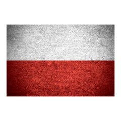 Painel Adesivo de Parede - Bandeira Polônia - 998pn - comprar online