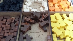 Imagem do Organizador para Caverna - Modelo 1