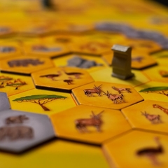 Savannah Park - Caixinha Boardgames