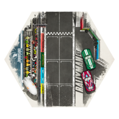 Championship - Exp Rallyman GT - loja online