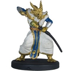 Half-Gold Dragon Sorcerer