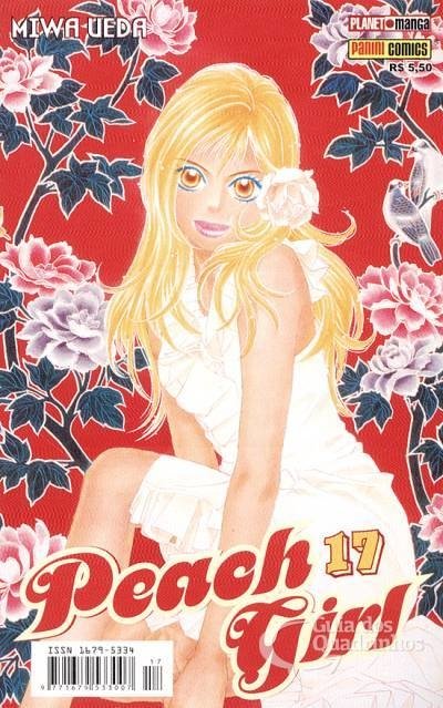 Peach Girl vol 17