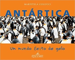 Antártica: um mundo feito de gelo - Maristela Colucci