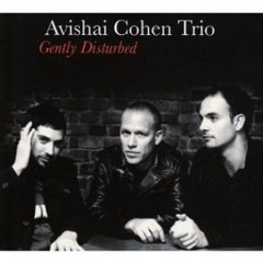 Avishai Cohen Trio - Gently Disturbed - CD
