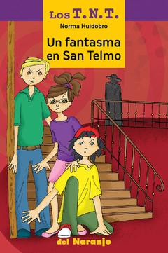 Los T.N.T. Un fantasma en San Telmo - Norma Huidobro - Libro