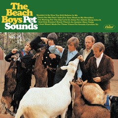 The Beach Boys - Pet Sounds (Mono / Stereo) - CD