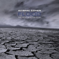 Avishai Cohen - Flood (Part two of the big rain trilogy) - CD (Importado)