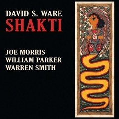 David S. Ware - Shakti - CD