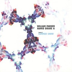 William Parker & Hamid Drake - Volumen 2: Summer Snow - CD