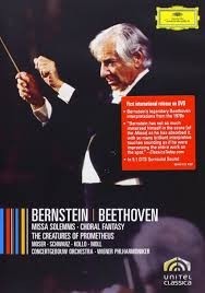 Beethoven - Leonard Bernstein - Wiener Philharmoniker Concertgebouw Orchestra - 7 DVD