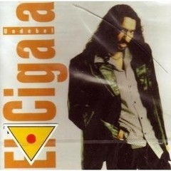 Diego El Cigala - Undebel - CD