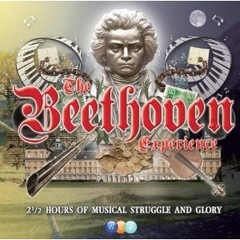 The Beethoven Experience - 2 CD