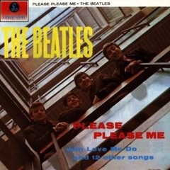 The Beatles - Please please me - Vinilo - The Stereo remastered on Heavywight 180 g