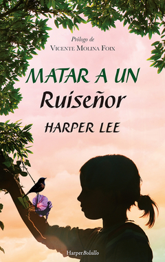 Matar un ruiseñor - Harper Lee