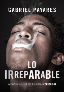 Lo irreparable - Gabriel Payares - Libro
