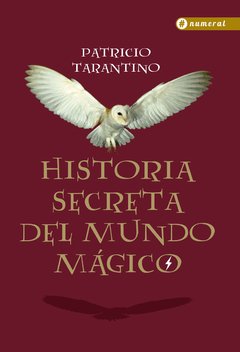 Historia secreta del mundo mágico - Los archivos de Harry Potter - Libro
