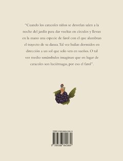 Las visiones fantásticas - María José Ferrada - Libro - comprar online
