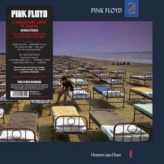 Pink Floyd - A momentary Lapse of Reason - Vinilo Remastered