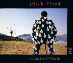 Pink Floyd - Delicate Sound of Thunder ( 2 CDs )