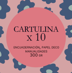 CARTULINAS X 10 PLIEGOS (32 x 47 cm.)