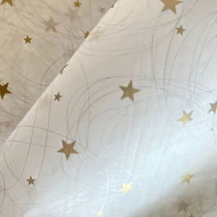 PAPEL SEDA estrellas chicas y circulos x 50 oro y plata - comprar online