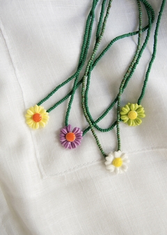 Collar Daisy