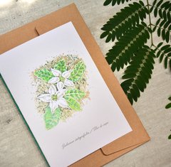 Postal botánica Jaborosa integrifolia - Flor de sapo