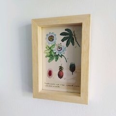 Cuadro Postal - Passiflora