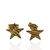 Aros de Oro Amarillo 18k. Estrellas