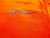 Musculosa Nike DriFit naranja combinada - comprar online